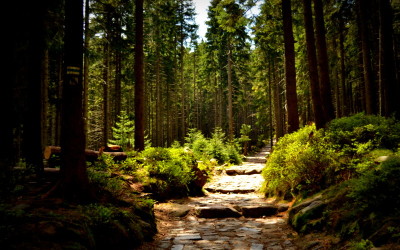 Jak chodzić po górach z głową!