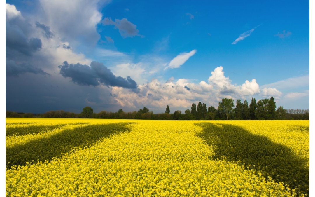 Ukraina – Tarnopol