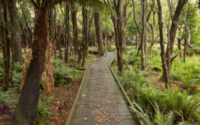 Australia (Victoria): Wilsons Promontory National Park